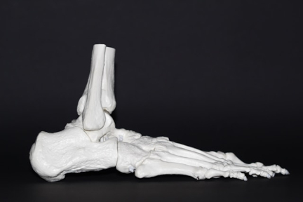 orthopedic therapy 2